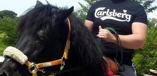 La gioia di "cavalcare la vita"