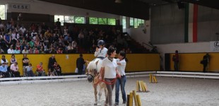 IV° festa delle attività equestri