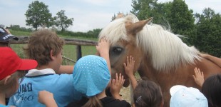 foto  bambini e cavalli_3295
