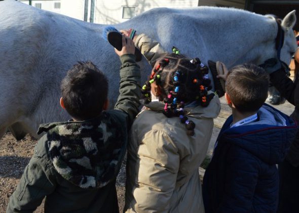 “Interventi assistiti con il cavallo: una risorsa per il territorio”