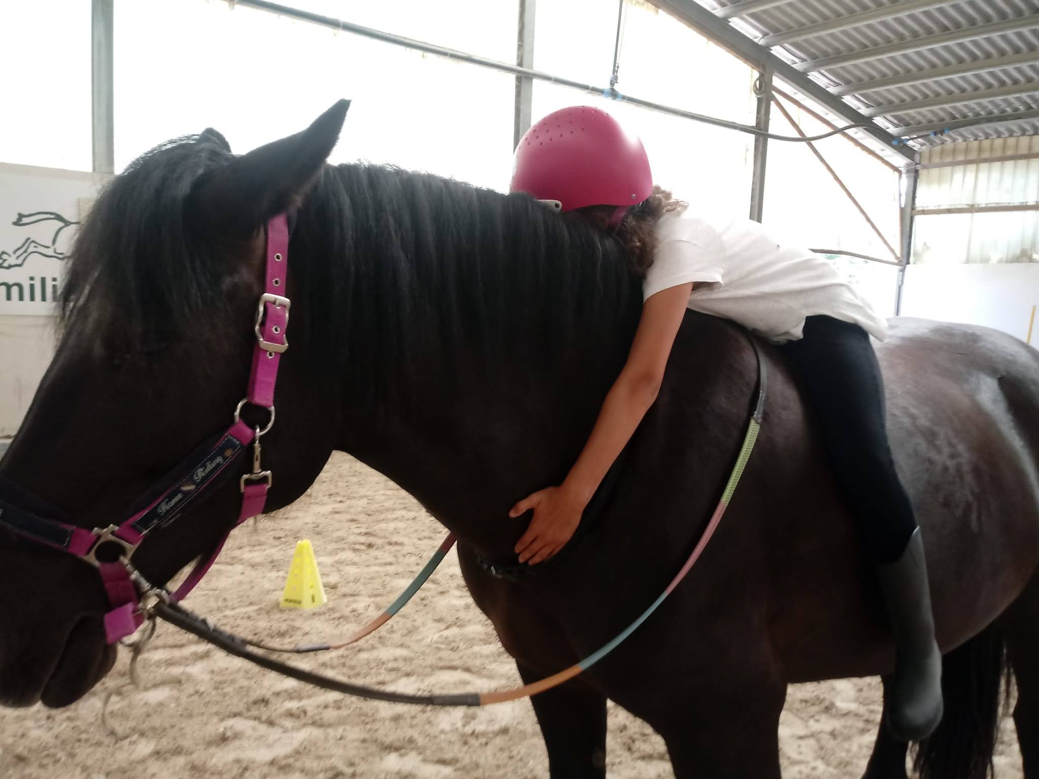 Abbraccio al cavallo